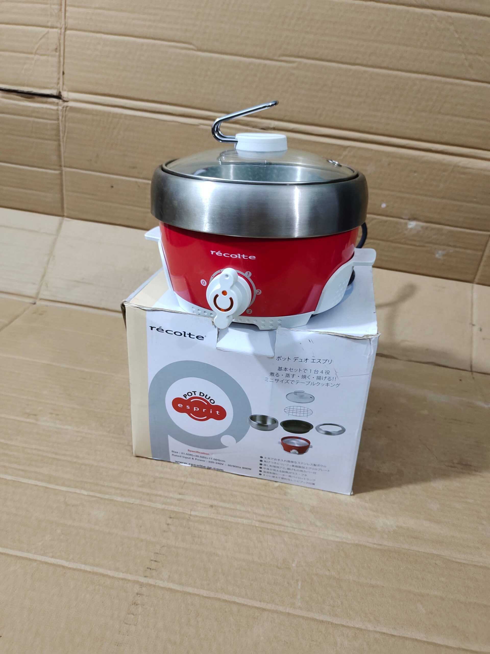 Recolte 4in1 Mini Electric Cooker