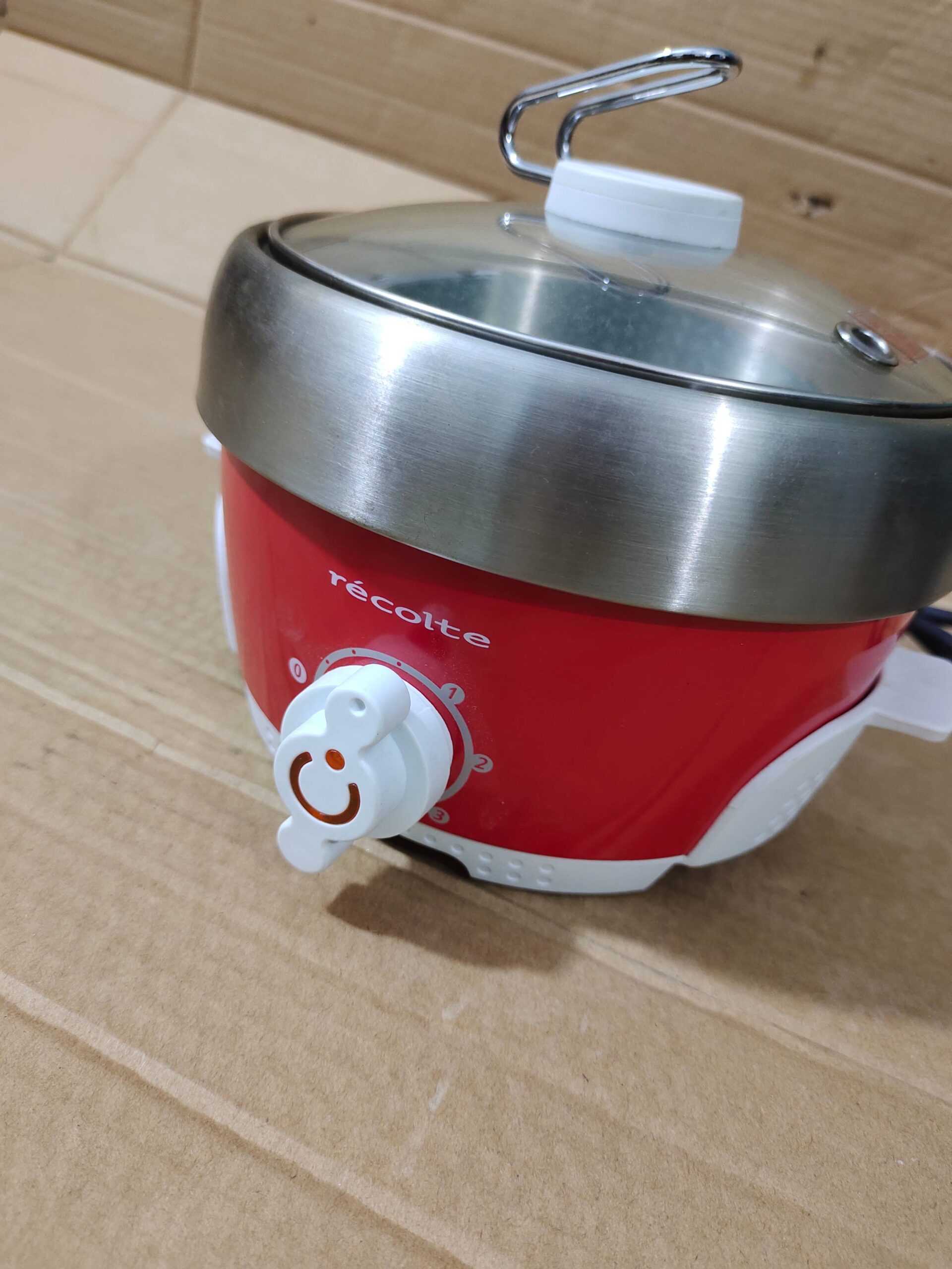 Recolte 4in1 Mini Electric Cooker