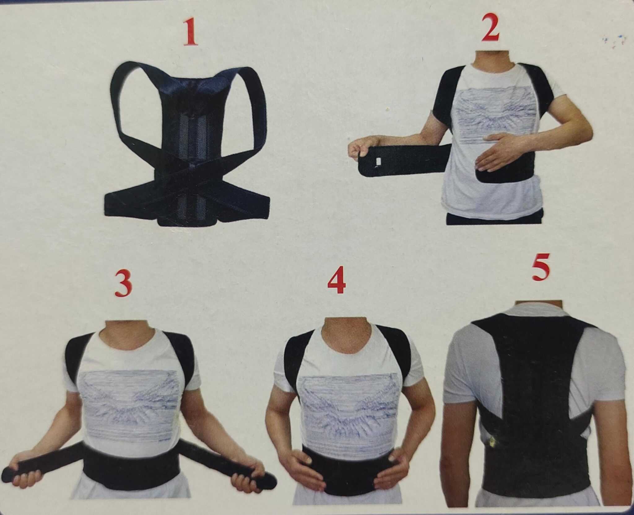 Back Support and Posture Belt