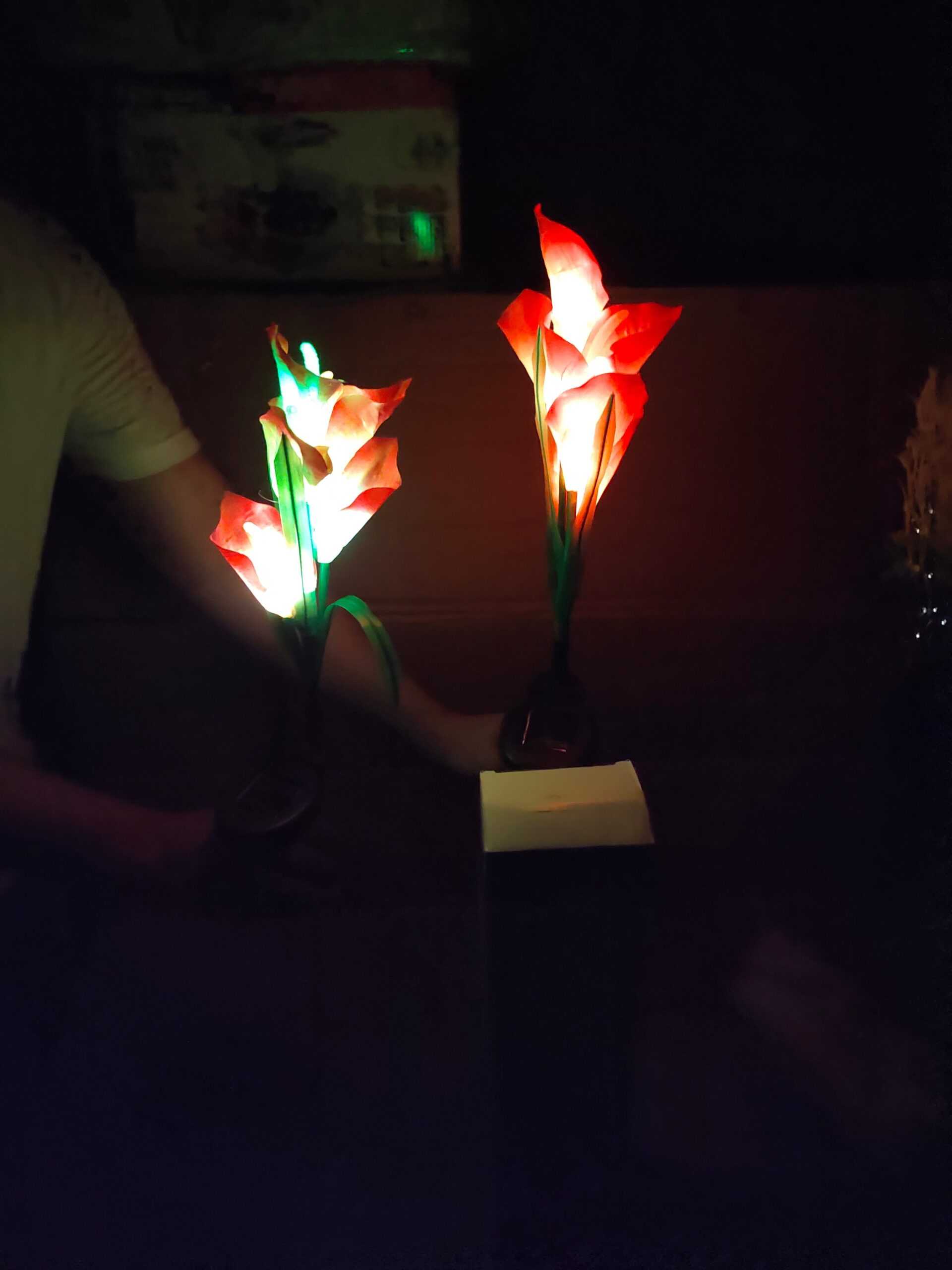 Pack of 2 Solar Garden Flower Stake Light