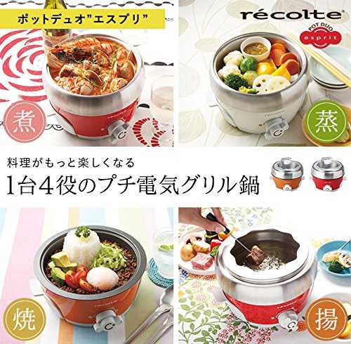 Recolte 4in1 Mini Electric Cooker