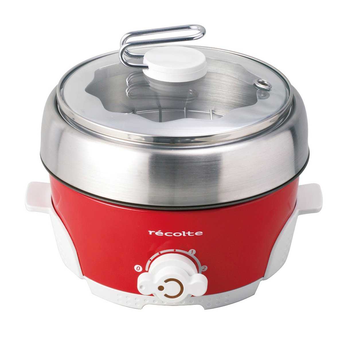 Recolte 4in1 Mini Electric Cooker