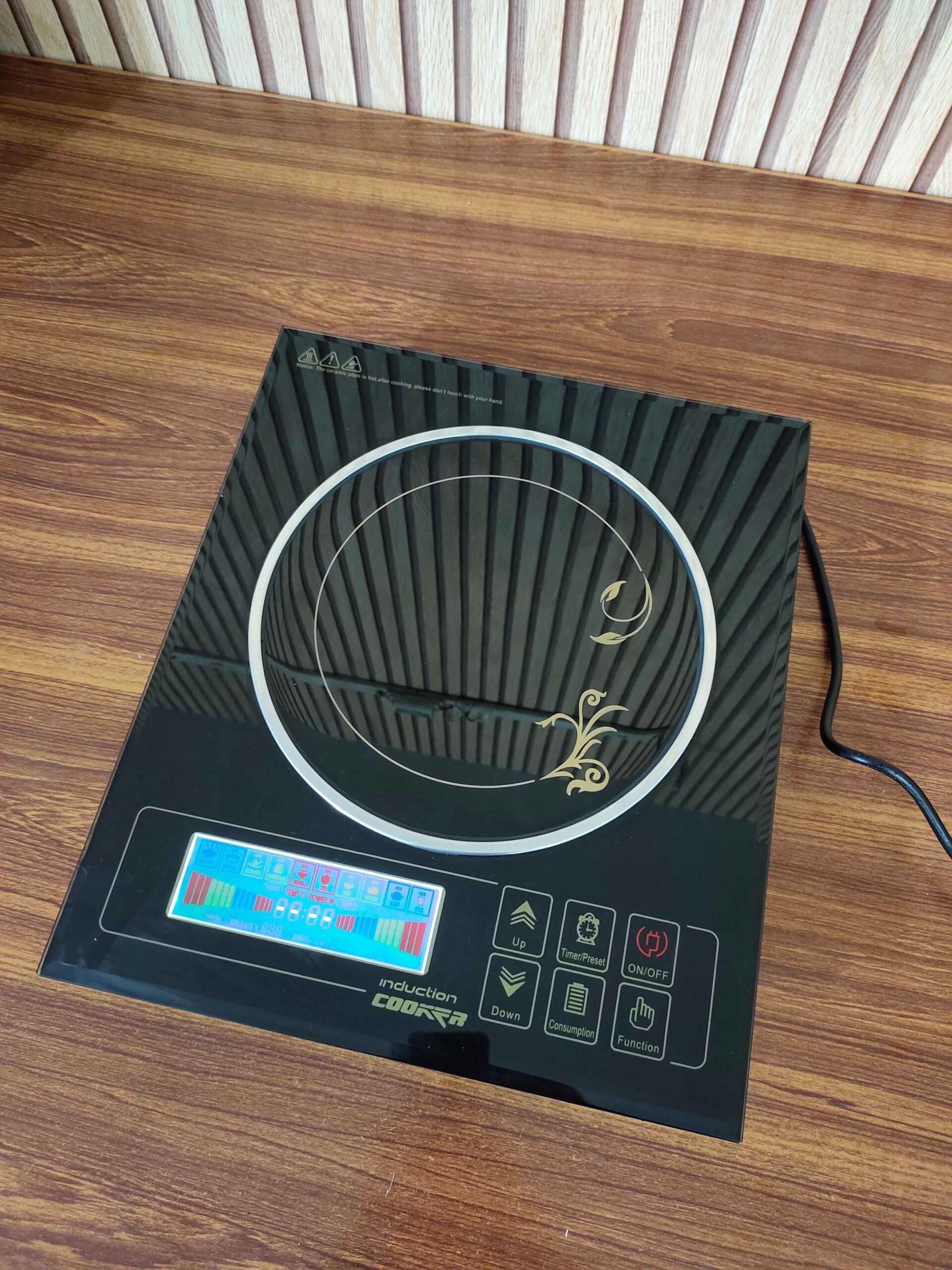 Professional Induction Hotplate 2000 Watt